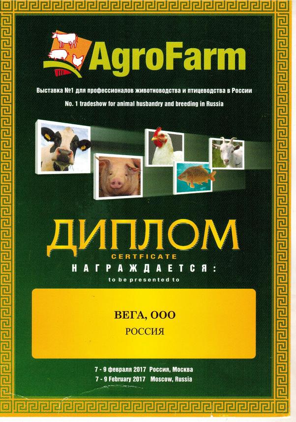 Фотография 4
